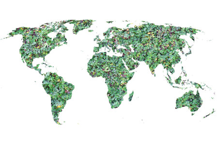 Global map young green plant isolated on white background,(Elements of this image furnished by NASA)