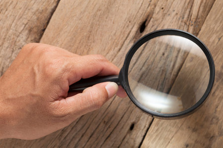 hand holding magnifying glass on old wood plank