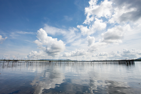 wooden fence into the sea in summer seasonの写真素材