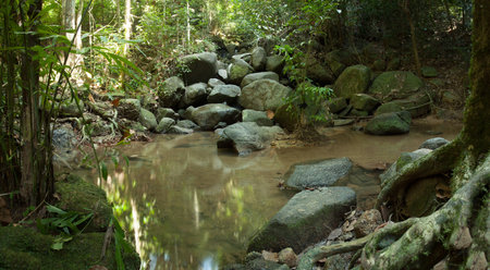 Small waterfall landscape in rainforest at phuket thailand