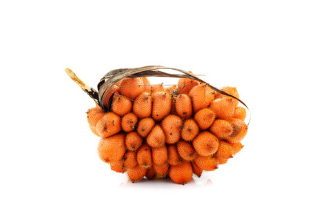Wintergreen fruit on white background