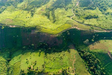 Aerial top down mountain Texture of nature forest scenery view Beautiful light sunrise over...
