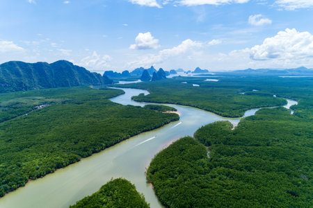 Beautiful natural scenery of landscape view in Asia tropical mangrove forest with small island in...