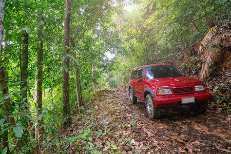 Red suv summer car and road in mountains Driving in forest dirt road Free space for your decoration...