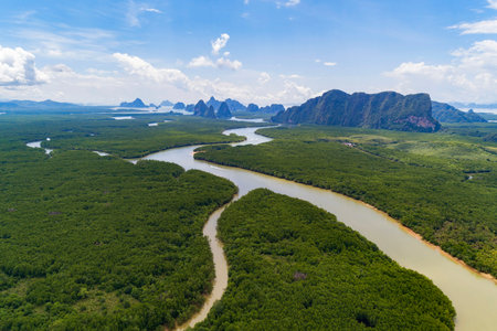 Aerial view drone shot amazing landscape of beautiful natural scenery river in mangrove forest and...