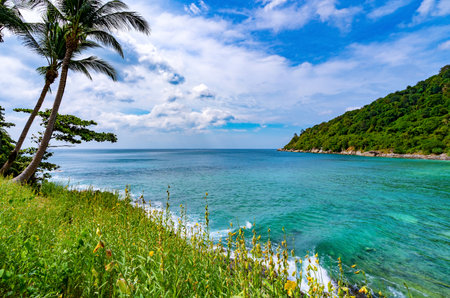 Beautiful Flower With Palm Trees frame in The beautiful Bay,Scenery view Phuket travel destination at Tropical island vacation idyllic background,Image for summer open travel season and tour concept.の写真素材