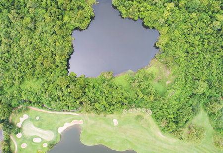 Aerial view drone Top down shot of abundant forest with beautiful green golf field and palm trees in...