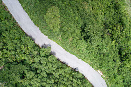 Aerial view Curve Road in the forest green summer trees Drone camera top down view Amazing landscape High angle viewの写真素材
