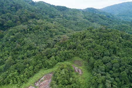 Aerial view Drone camera top view rainforest trees ecology with healthy environment concept and...