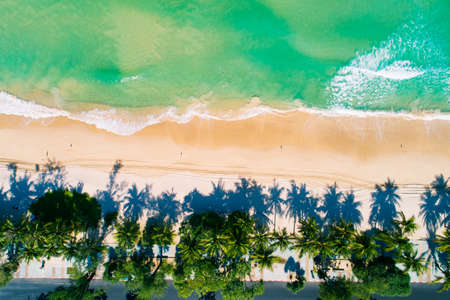 Aerial view top down of Coconut palm trees on the beautiful patong beach Phuket Thailand Amazing sea beach sand tourist travel destination in the andaman sea Beautiful island on September 17-2021.の写真素材