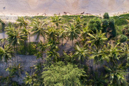 Aerial view top view of Coconut palm trees on the beautiful Karon beach Phuket Thailand Amazing sea beach sand tourist travel destination in the andaman sea Beautiful phuket island in sunset time.の写真素材