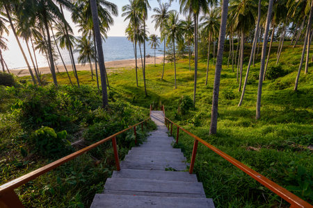 Silhouette coconut palm trees at sunset or sunrise sky over sea Amazing light nature colorful landscape Beautiful light nature sky and cloudsの写真素材