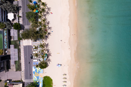 Aerial view top down of Coconut palm trees on the beautiful patong beach Phuket Thailand Amazing sea...