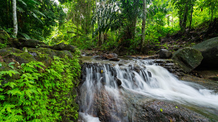 Waterfall in Abundant Clear Stream in the forest Small waterfall river with crystal clear water...