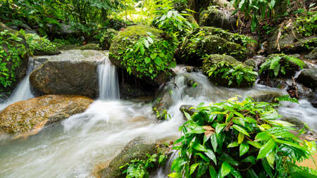 Waterfall in Abundant Clear Stream in the forest Small waterfall river with crystal clear water morning light nature backgroundの写真素材