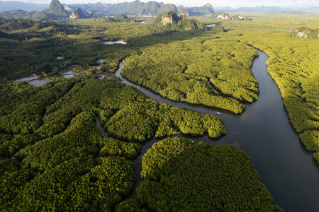 Amazing beautiful natural scenery of landscape view in Asia tropical mangrove forest mountains background, aerial view drone shot, High angle viewの写真素材