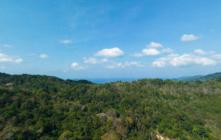 Aerial view rainforest landscape nature view from Drone camera in summer sunny day timeの写真素材