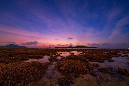 Beautiful sunset or sunrise seascape amazing cloud at sunrise light above the coral reef in Rawai sea Phuket Severe low tide corals growing in the shallows,Staghorn coralの写真素材