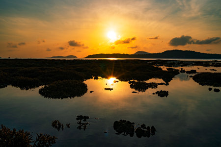 Beautiful sunset or sunrise seascape amazing cloud at sunrise light above the coral reef in Rawai sea Phuket Severe low tide corals growing in the shallows,Staghorn coralの写真素材