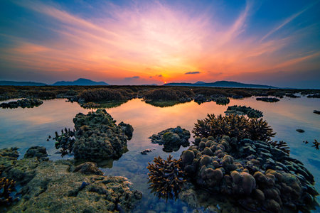 Beautiful sunset or sunrise seascape amazing cloud at sunrise light above the coral reef in Rawai sea Phuket Severe low tide corals growing in the shallows,Staghorn coral reefの写真素材
