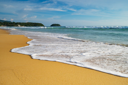 Tropical sandy beach with waves crashing on sandy shore and blue sky background, Image for nature background or summer background. Sea sand backgroundの写真素材