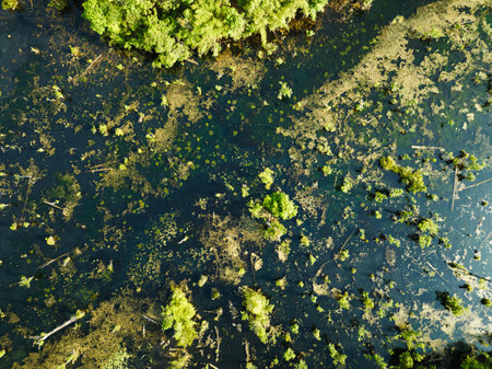 Aerial view top down Drone view over swamp or lake in sunrise or sunset time, Amazing nature view in the morning at Klong root lake Krabi Thailandの写真素材