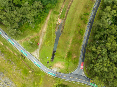 Aerial view road with landscape trees forest background