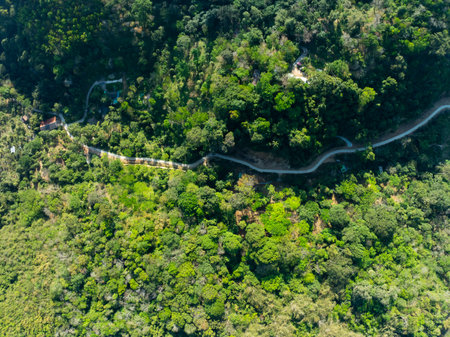 Aerial view Drone camera rainforest trees ecology with healthy environment concept and summer backgroundの写真素材