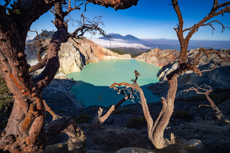 Deadwood Leafless Tree with Turquoise Water Lake,Beautiful nature Landscape mountain and green lake...