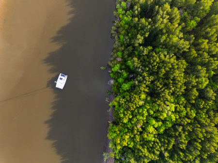 Amazing abundant mangrove forest, Aerial view of forest trees Rainforest ecosystem and healthy...