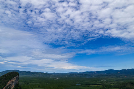 Amazing abundant mangrove forest, Aerial view of forest trees Rainforest ecosystem and healthy...