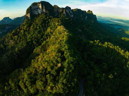 Aerial view Tropical Rainforest trees mountains,Top view green forest backgroundの写真素材