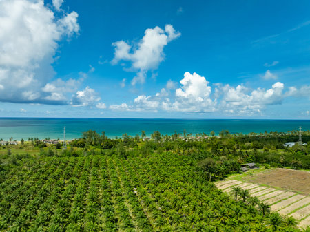 Amazing top view seashore, Aerial view of Tropical beach sea in the beautiful Phuket island Thailandの写真素材