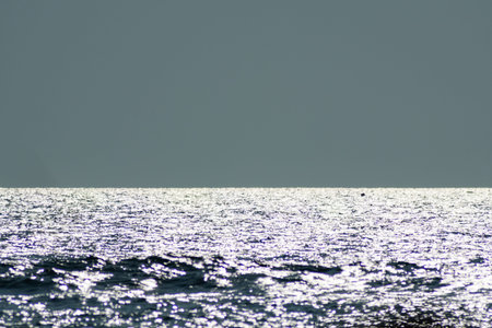 sea surface small waves nature background