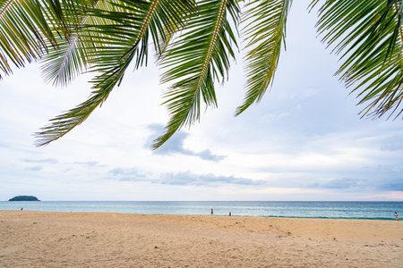 Tropical sea summer beach nature backgroundの写真素材