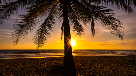 Silhouette coconut palm trees at sunset or sunrise sky over sea, Amazing colorful light sky nature landscape, Beautiful nature sky and clouds backgroundの写真素材