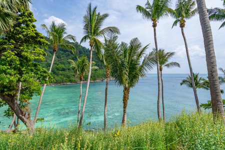 Beautiful beach background, Natural landscape with coconut palm trees on the beach, Beach and sea in sunny day, Beach sea space area nature backgroundの写真素材