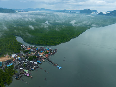 Mangrove forest and river landscape at Krabi Thailand, Beautiful mangrove forest trees green...