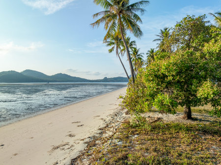 Beautiful beach sunny sky landscape view,Beautiful nature beach backgroundの写真素材