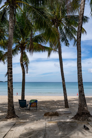 Beautiful beach background, Natural landscape with coconut palm trees on the beach, Beach and sea in sunny day, Beach sea space area nature backgroundの写真素材