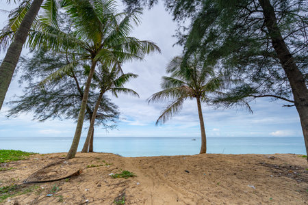 Beautiful sandy beach and sea in sunny day, Blue sky in good weather day, Beach sea space area nature backgroundの写真素材