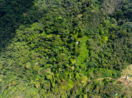 High angle view mountains rainforest green backgroundの写真素材