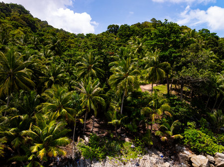 High angle view mountains rainforest green backgroundの写真素材