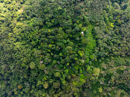 High angle view mountains rainforest green backgroundの写真素材