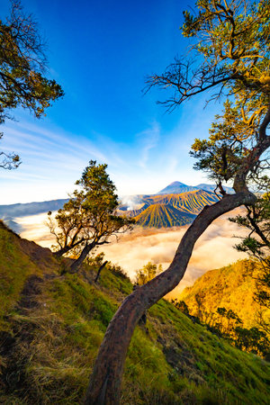 Aerial view Mountains at Bromo volcano during sunrise sky,Beautiful Mountains Penanjakan in Bromo...