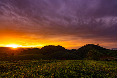 Drone aerial view of landscape mountains view in sunrise or sunset time,High angle view over...