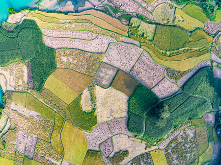 Aerial top view of Green rice field at northern vietnam,Beautiful destination in Northern...