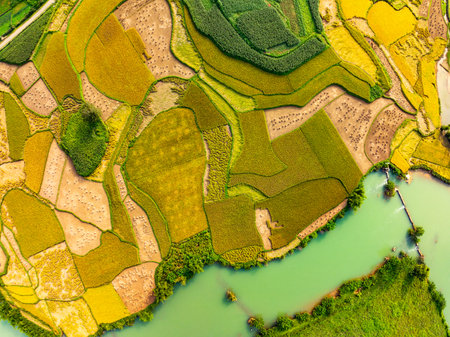 Aerial top view of Green rice field at northern vietnam,Beautiful destination in Northern...