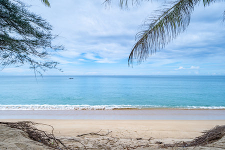 Background for summer vacation concept, Nature of the beach and sea with coconut palm trees on beach Summer with sunlightの写真素材
