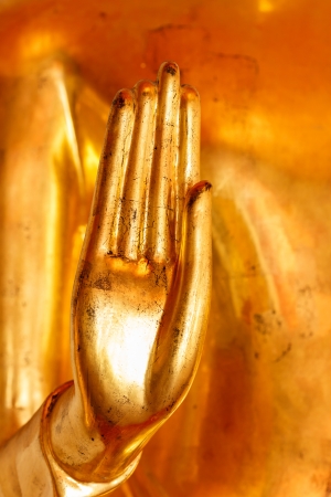 Hand of Buddhaの写真素材